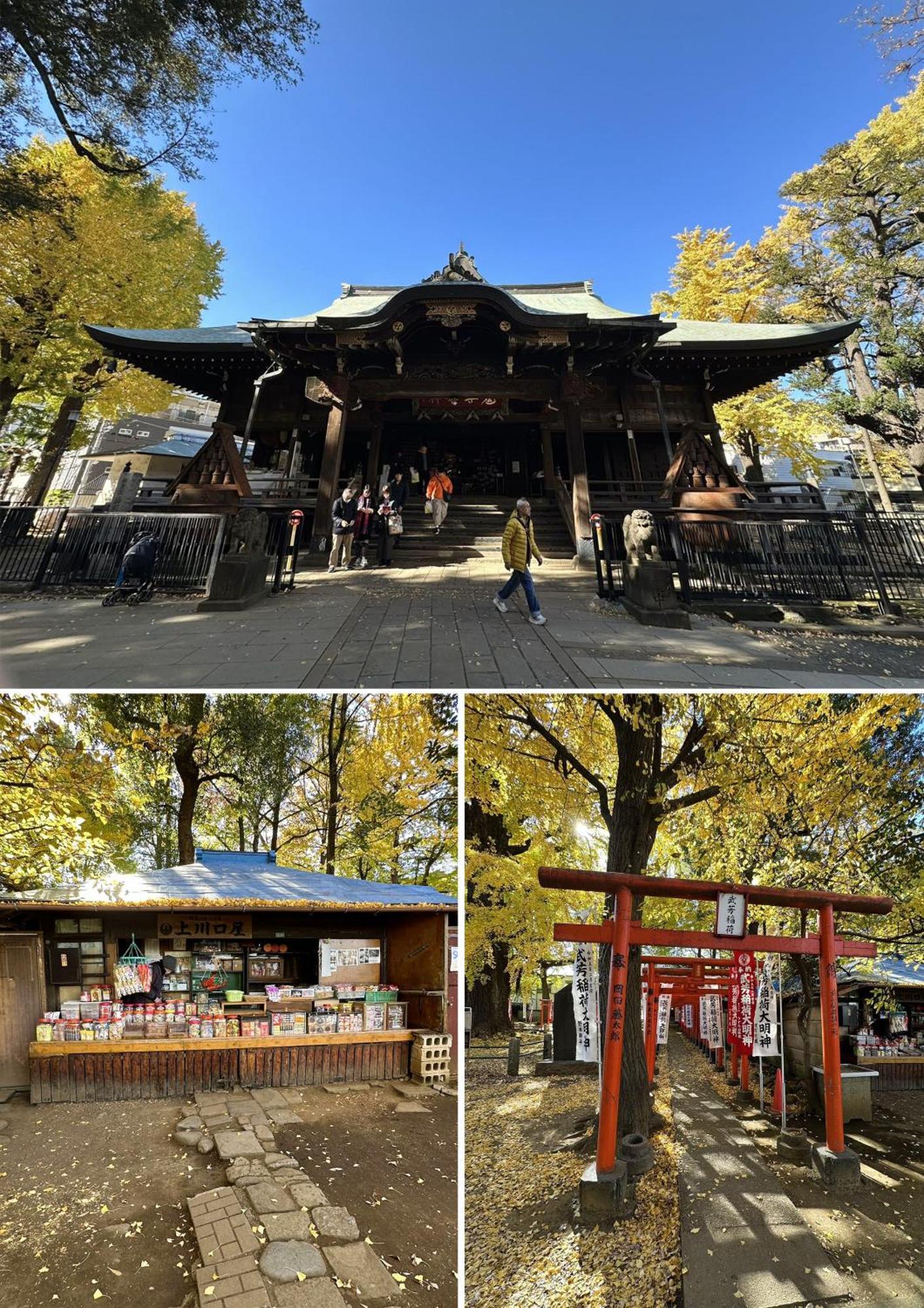 雅ⅰ Tōkyō